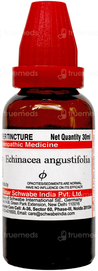 Dr Willmar Schwabe Echinacea Angustifolia Q Mother Tincture 30ml